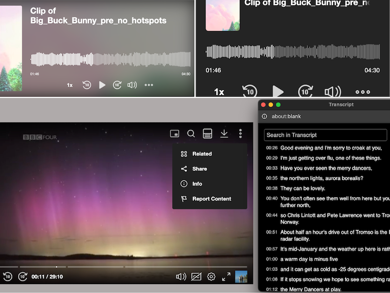Audio/Video player with plugins